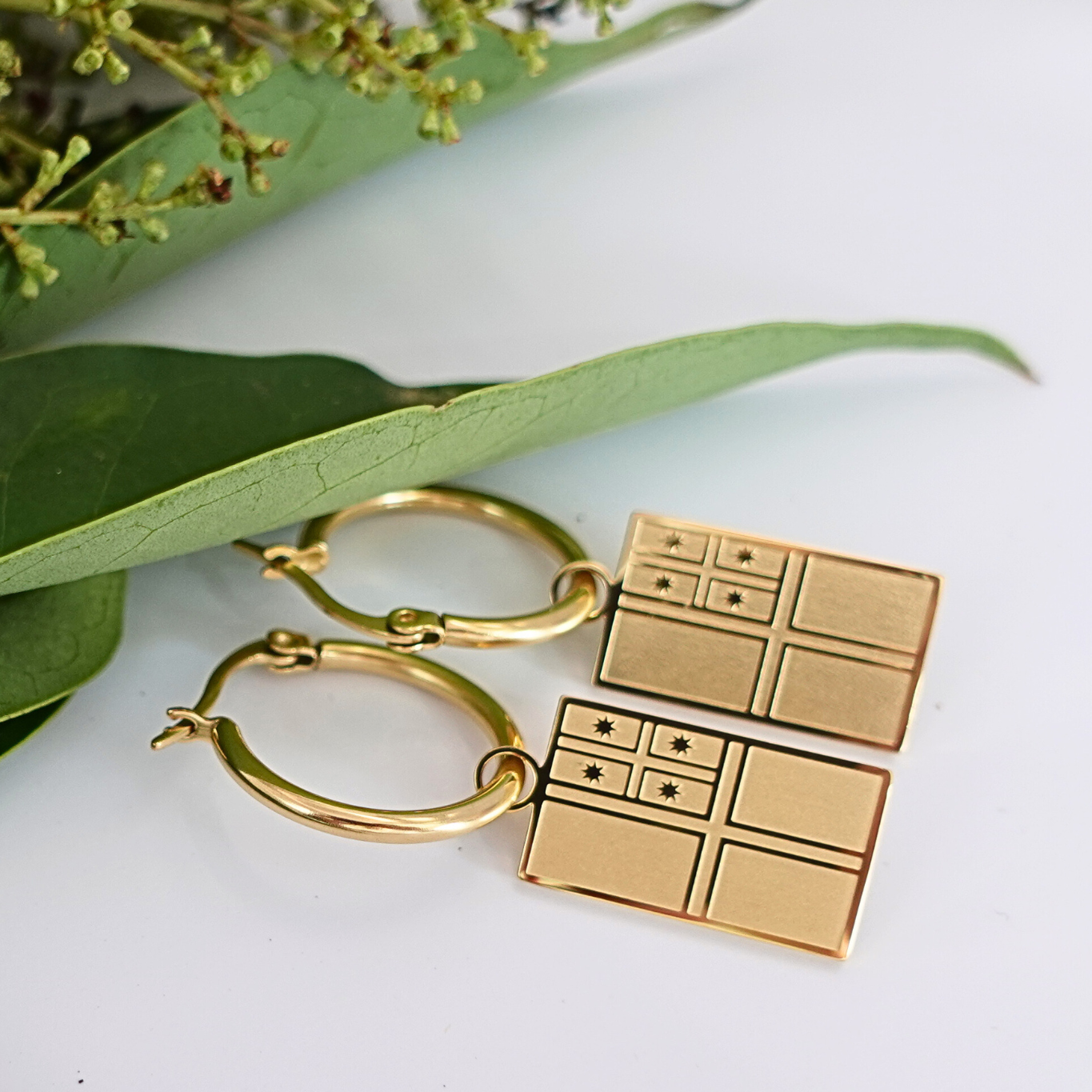 HE WHAKAPUTANGA HOOPS